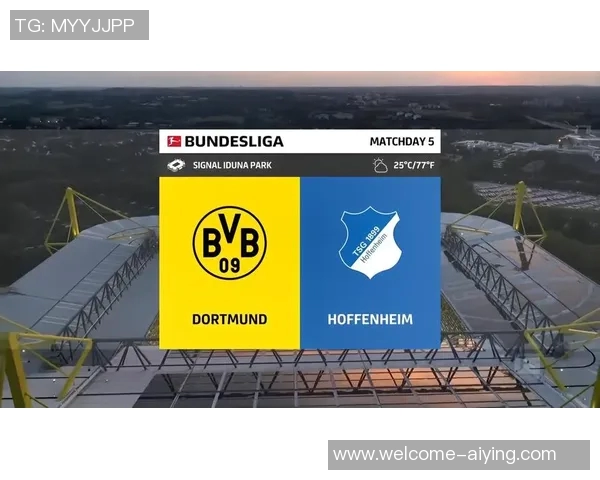 霍芬海姆官方宣布租借多特19岁边锋科尔科贝尔并附带买断条款